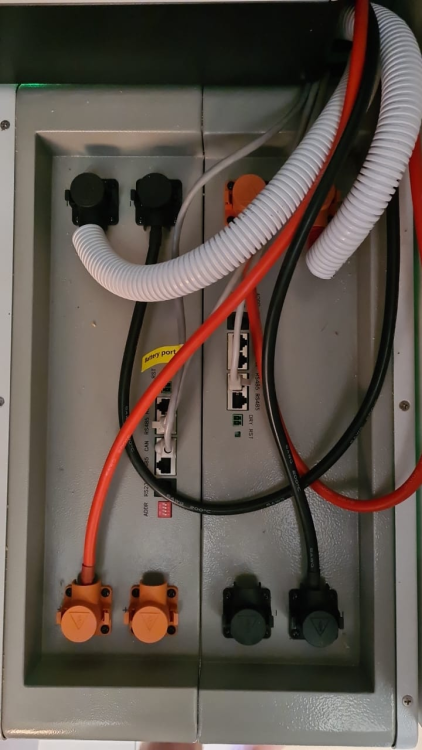 image.thumb.png.bec99998f5410879215186816c386710.png