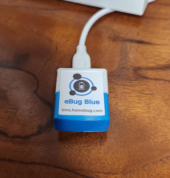 eBug Blue.jpg